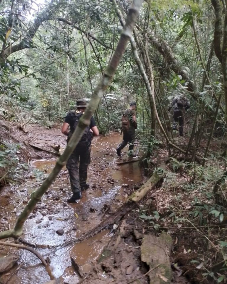 Guardaparques detectan y desmantelan campamento de cazadores furtivos en la selva imagen-24