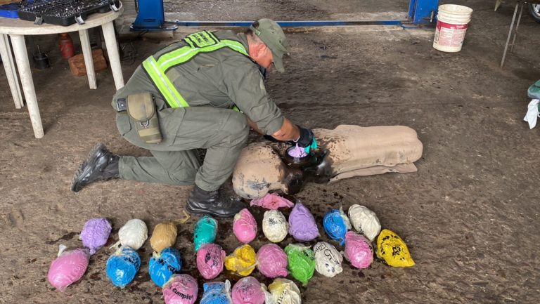 Gendarmería: descubrieron dentro del tanque de un auto más de 16 kilos de marihuana imagen-43