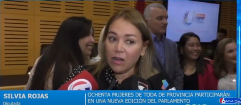 Las propuestas del Parlamento de la Mujer integran después la agenda legislativa imagen-13