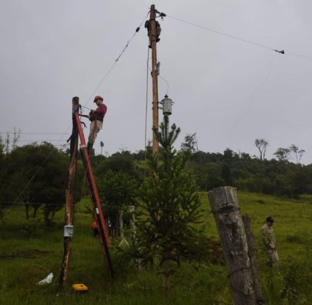 Energía eléctrica: familias de la zona de Irigoyen ya cuentan con nuevas líneas rurales imagen-7
