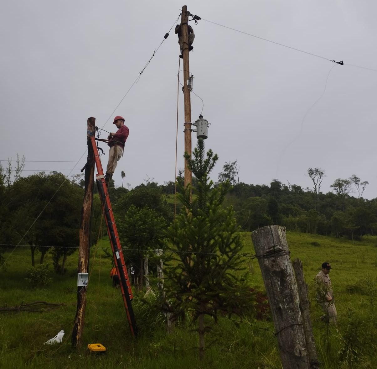 Energía eléctrica: familias de la zona de Irigoyen ya cuentan con nuevas líneas rurales imagen-1