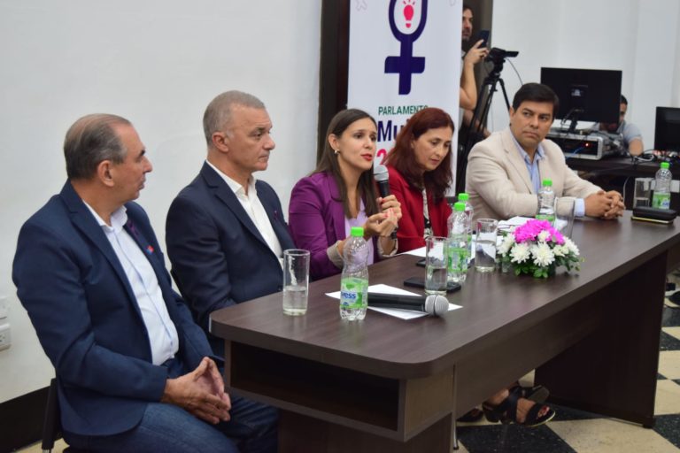 Presentaron el Parlamento Municipal de la Mujer 2023: "Una instancia de participación amplia" imagen-36