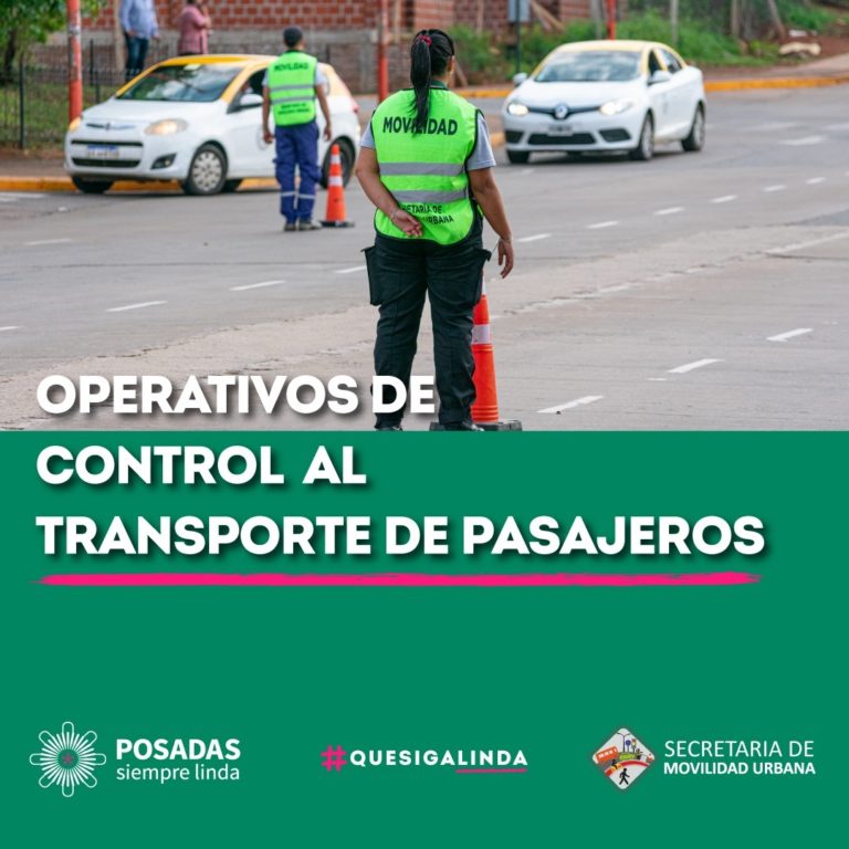 Controlan taxis y remises para una mayor seguridad imagen-14