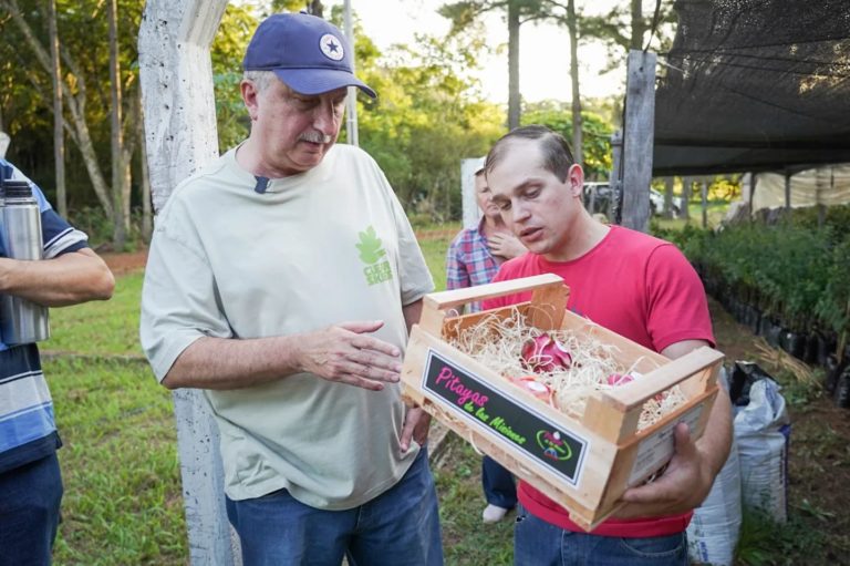 Passalacqua visitó a productor de pitaya en Cerro Azul, la fruta que puede revolucionar la producción misionera imagen-1