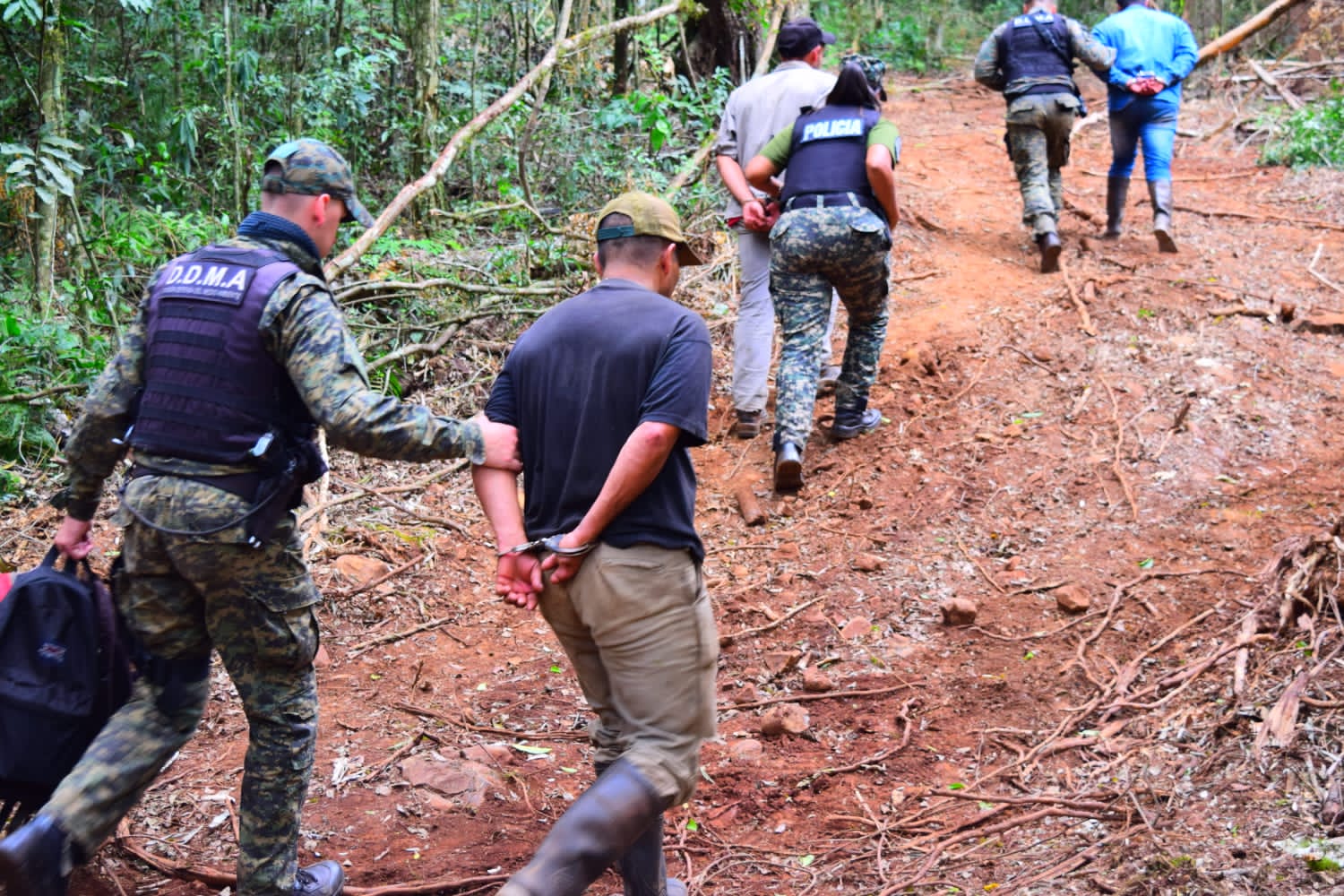 Detuvieron a cinco hombres armados que realizaban apeo ilegal en un lote privado de San Pedro imagen-1
