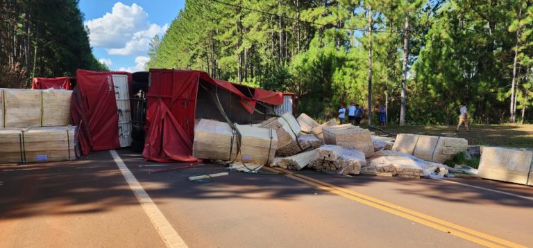 Camión despistó en la ruta 14 y volcó su carga de machimbre imagen-46