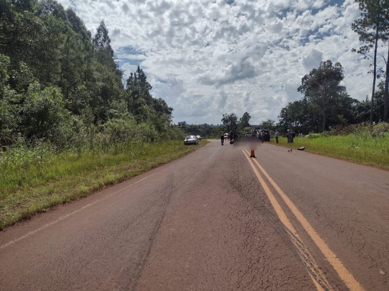 Dos fallecidos en un siniestro vial en Aristóbulo del Valle imagen-47