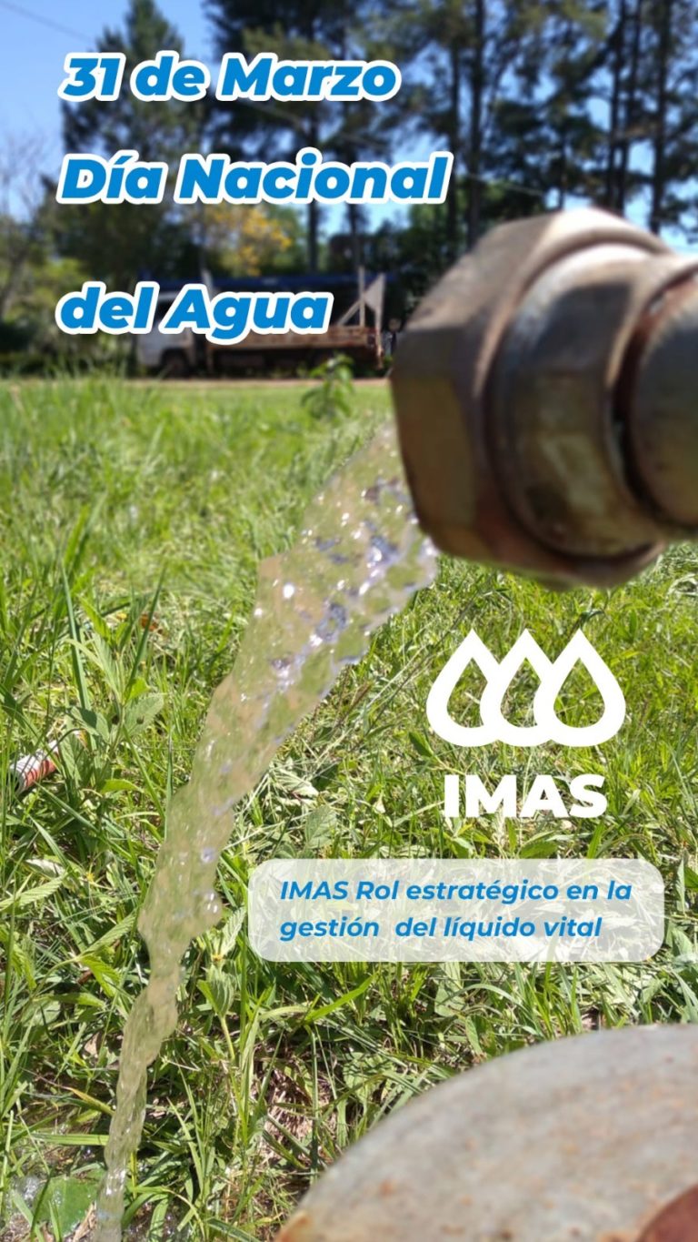 En el Día nacional del agua destacan el rol estratégico del Imas en Misiones imagen-22