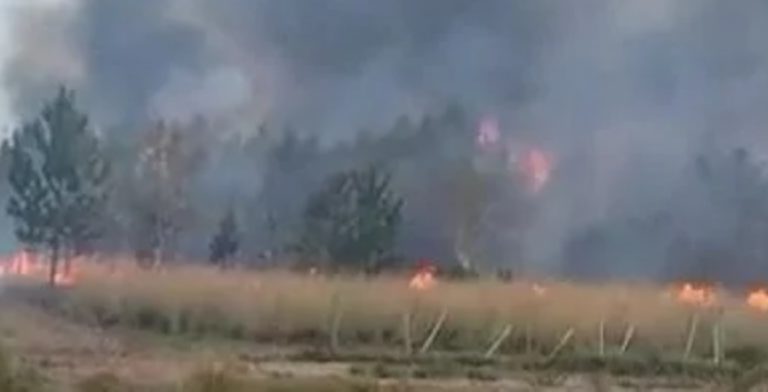 Alerta en Corrientes: el fuego arrasó predios en Ituzaingó imagen-14