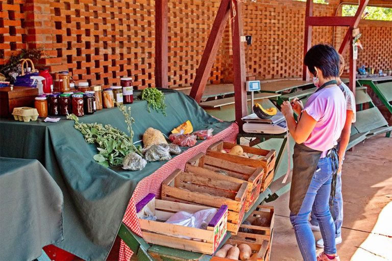 La sequía arremete contra los productores de las ferias francas y estiman una recuperación para el invierno imagen-34