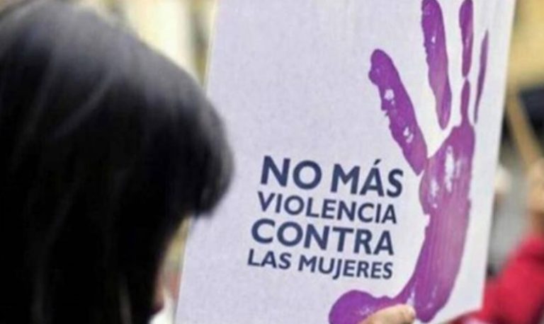 Violencia de género: durante el 2023 se cometieron 390 femicidios en Argentina imagen-15