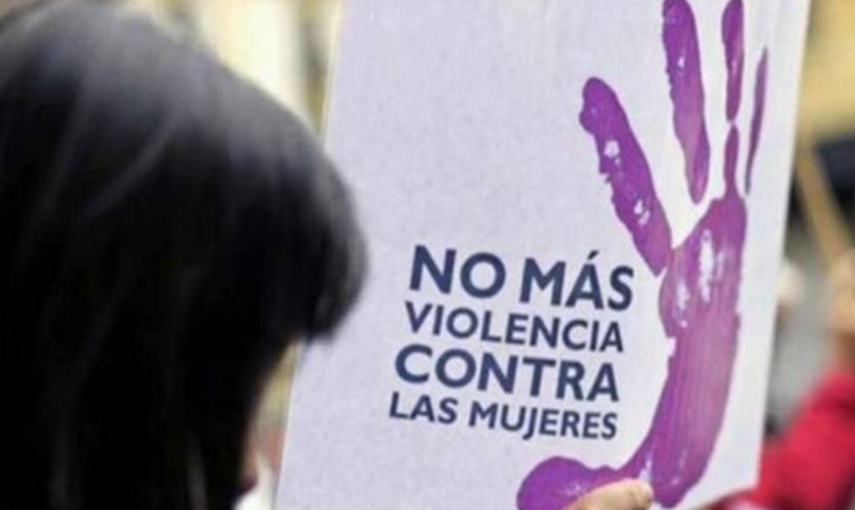 Violencia de género: durante el 2023 se cometieron 390 femicidios en Argentina imagen-1
