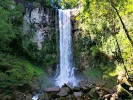 Día Mundial del Agua: implementan acciones de concientización en Parques Provinciales imagen-6