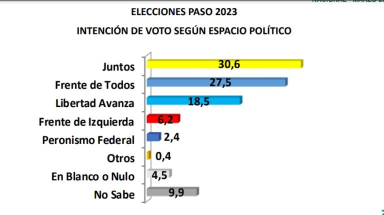 Elecciones presidenciales: Con Bullrich como candidata de JxC, Milei decrece y en el Frente de Todos ninguno de los candidatos tiene un electorado consolidado imagen-7