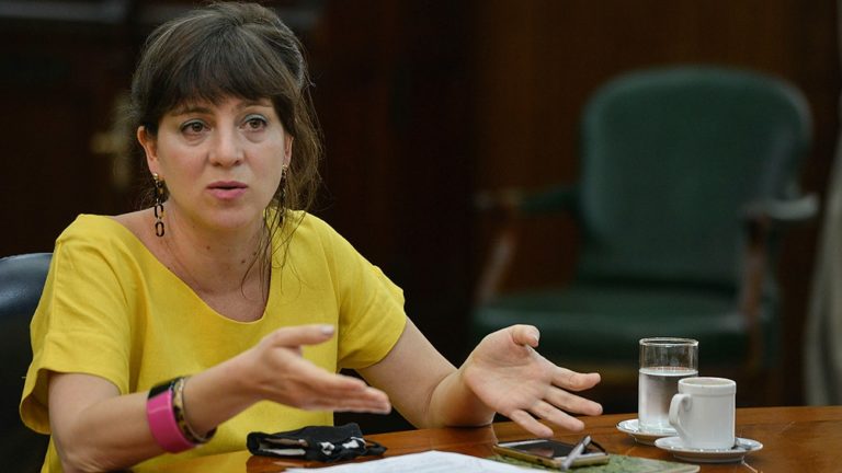 Mercedes D’Alessandro: “El acuerdo con el FMI se firmó tarde y es incumplible” imagen-11