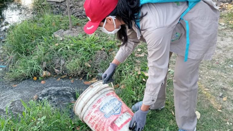 Eliminar los criaderos de mosquitos y no automedicarse, entre las claves contra el dengue imagen-1