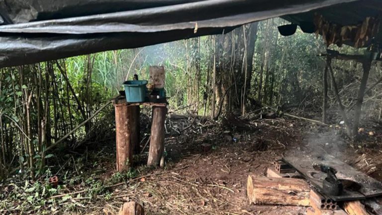 Liberaron a cuatro argentinos que eran sometidos a la esclavitud en el sur de Brasil imagen-3