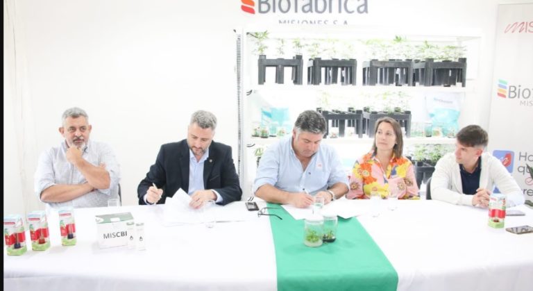 Biofábrica: “Potenciamos el desarrollo de Cannabis Medicinal a campo” imagen-32