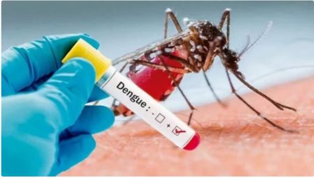 Vacuna contra el Dengue: Misiones preparada para recibirla imagen-2