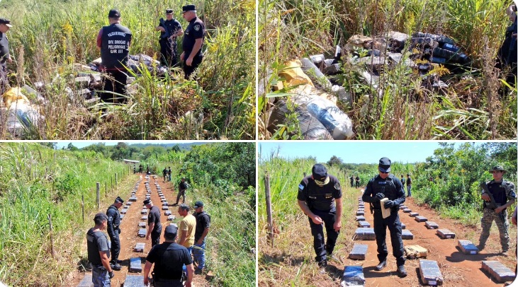 La Policía de Misiones incautó estupefaciente hallado en zona de bosque; detuvieron a un sospechoso imagen-1