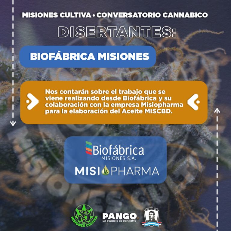 Llega el Primer "Conversatorio Cannábico Misiones Cultiva" imagen-26