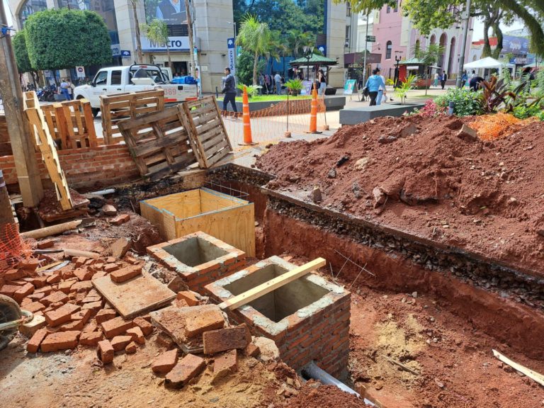 La Calle Paseo se extiende con un importante aporte a la sustentabilidad imagen-46