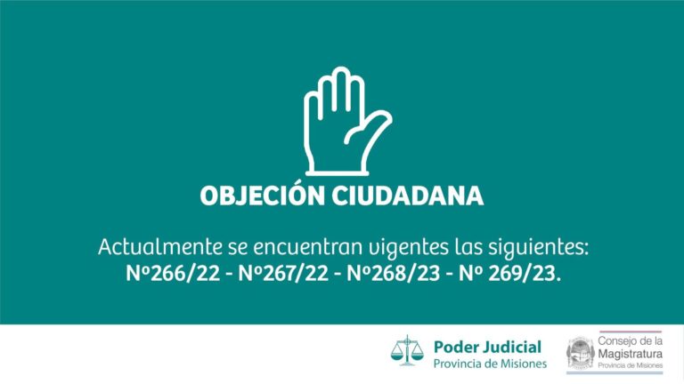 La participación ciudadana en el proceso de selección de autoridades judiciales mediante objeciones imagen-23