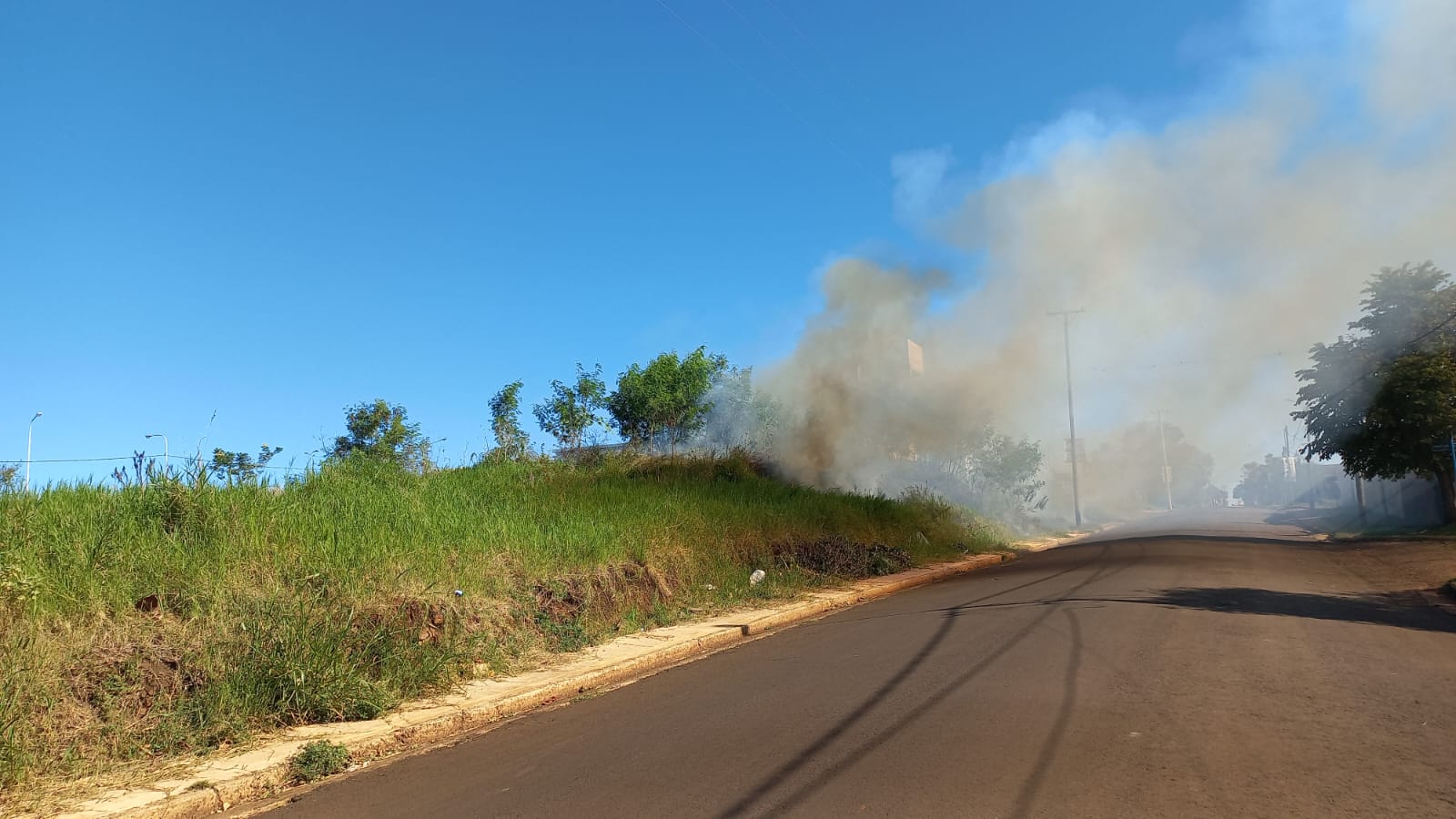 Sofocaron incendio de malezas en Garupá imagen-1