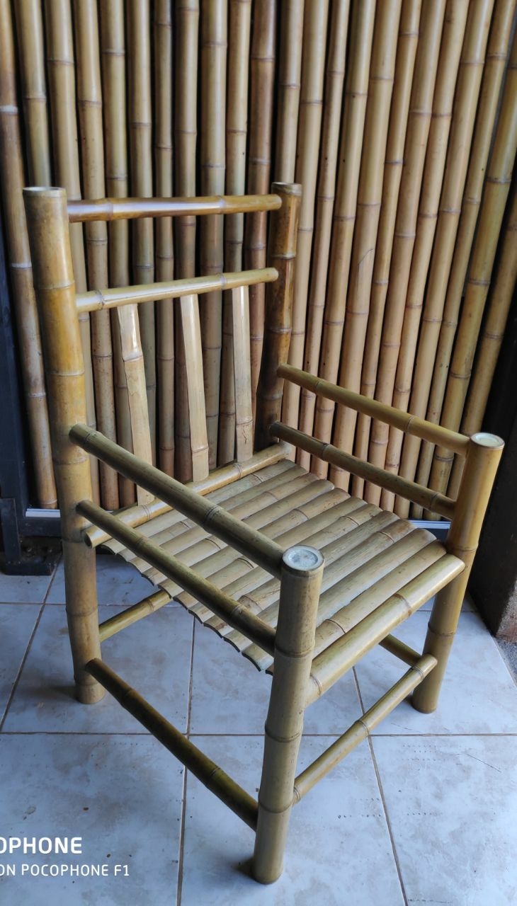 Las bondades del Bambú, el "acero de Misiones", aplicadas a la construcción de viviendas, muebles y arte decorativo imagen-8