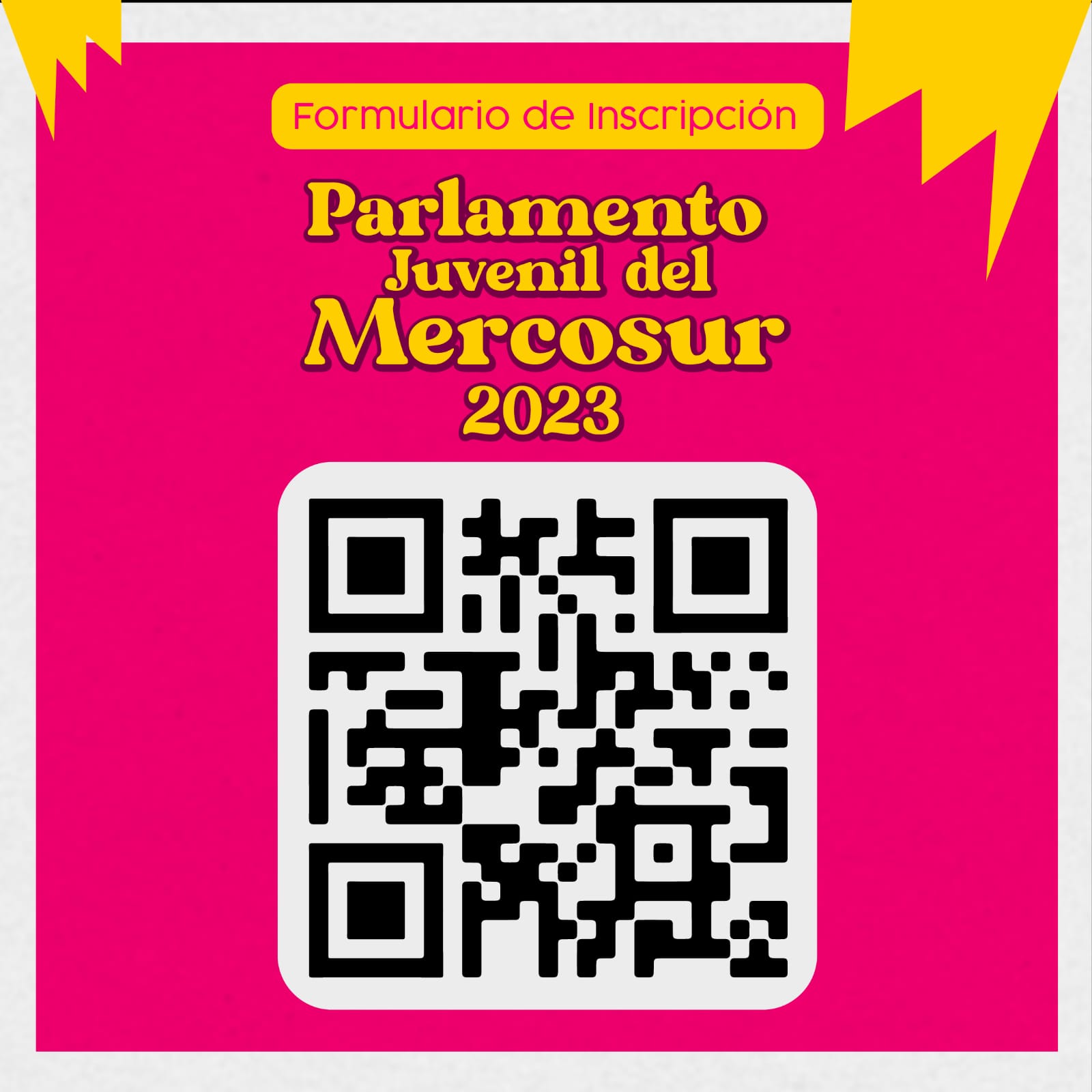 Arrancaron las inscripciones a la Instancia Escolar del Parlamento Juvenil del Mercosur 2023 imagen-8