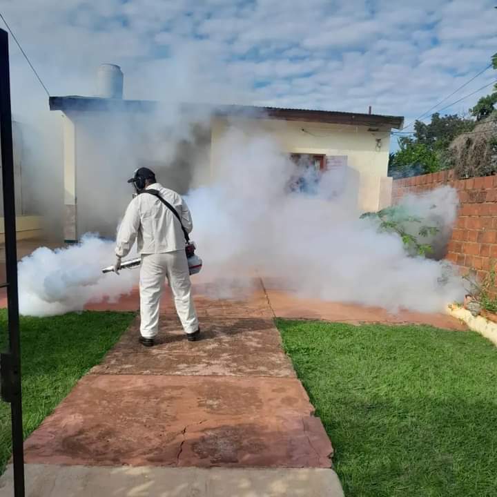 Dengue: continúan las acciones para evitar el contagio y la proliferación del Aedes aegypti imagen-1
