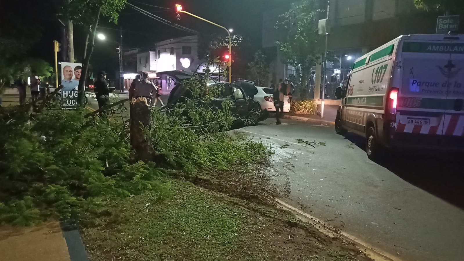 Despiste vehicular y colisión contra un árbol en avenida Roque Pérez imagen-1