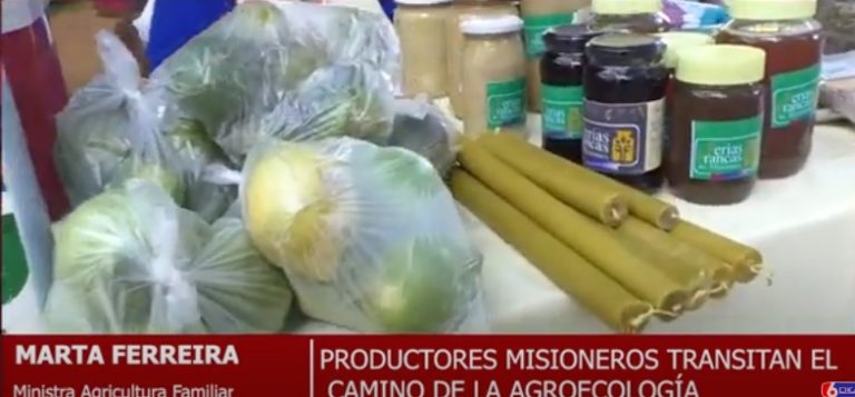 Agroecología: "Misiones tiene que transitar hacia la sustentabilidad y dejar atrás el tiempo de los venenos" imagen-20