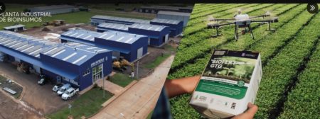 Rovira: “Misiones es la primera provincia agro sustentable de Argentina” imagen-3