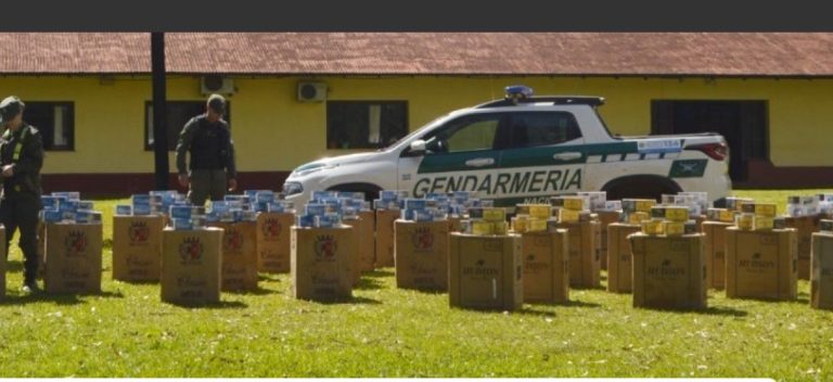 Abandonan camioneta en una propiedad privada con 20.000 atados de cigarrillos imagen-47