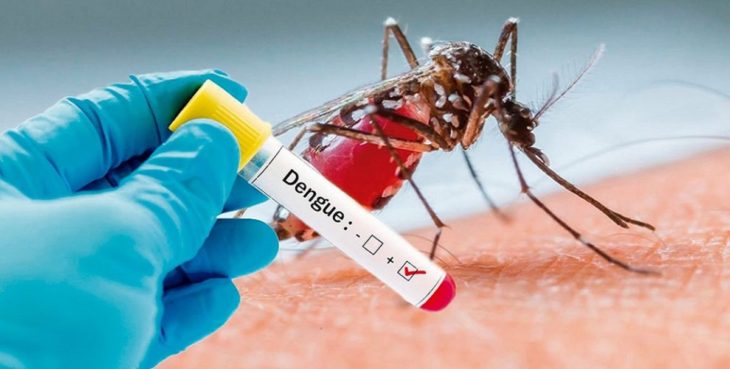 Dengue en Argentina: el 94,4% de los casos entre julio y enero se notificaron en la región NEA imagen-1
