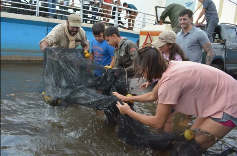 Niños siembran juveniles de Pacú en el río Paraná imagen-35