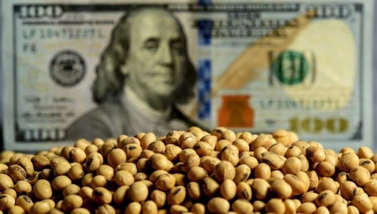 Dólar soja: agroexportadoras ya ingresaron u$s1.390 millones imagen-40