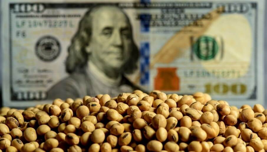 Dólar soja: agroexportadoras ya ingresaron u$s1.390 millones imagen-1
