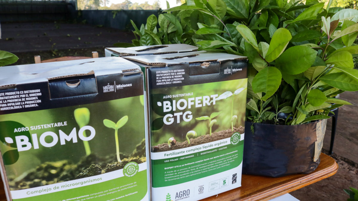 Productores se beneficiaron con plantines de yerba mate y bioinsumos imagen-10