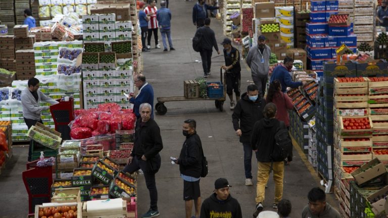 El Mercado Central tendrá un nuevo rol para aumentar la oferta de productos imagen-26