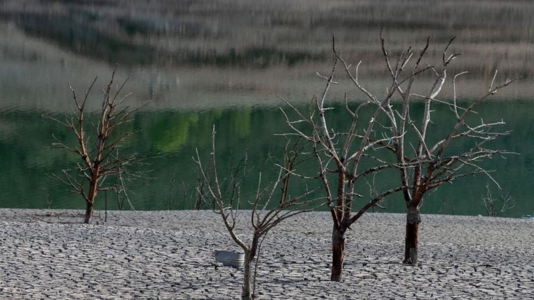 "El cambio climático es actualmente la emergencia en salud más importante", señalan los psiquiatras imagen-36