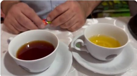 Expo Té Argentina: Cooperativa Yerbatera Dos de Mayo exporta toda su producción de té negro a Estados Unidos imagen-20