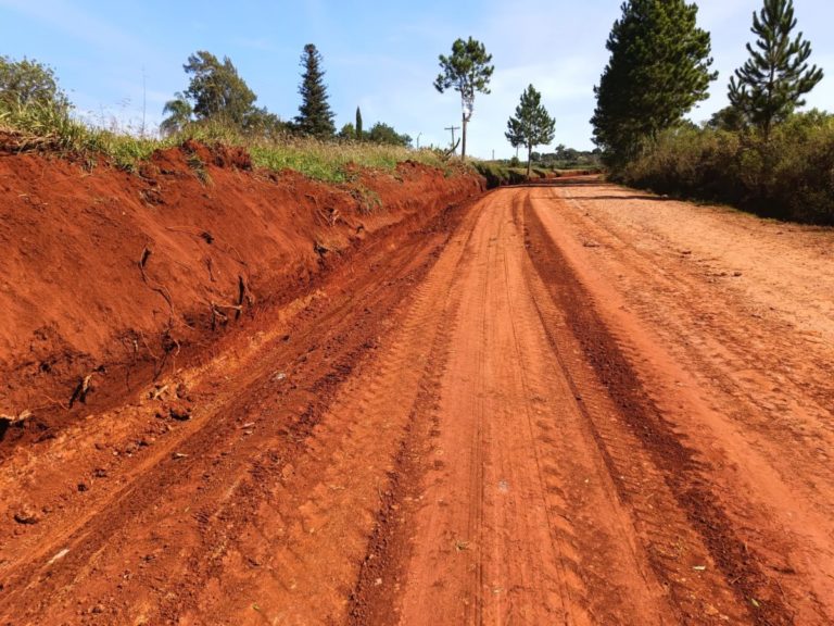 Vialidad trabaja en caminos vecinales y rutas provinciales terradas imagen-22