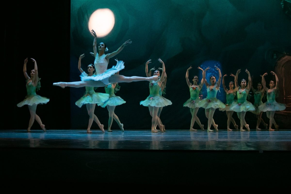 El Ballet del Parque del Conocimiento fue aclamado por "Don Quijote" imagen-6