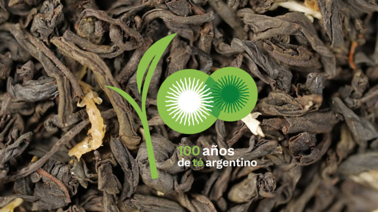 Expo Té Argentina en Posadas, con más de 50 stands y entrada gratuita imagen-24