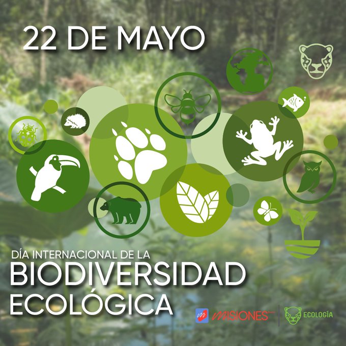 Preservar la Biodiversidad: "Ese compromiso en Misiones es política de Estado" imagen-2