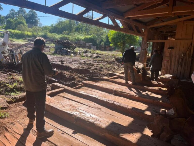 Relevan el rendimiento de las industrias madereras en cuanto a aserrado y valor agregado imagen-18