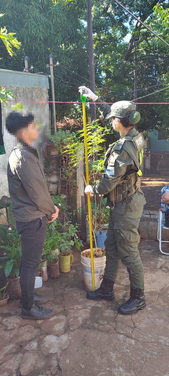 Gendarmes evitaron la distribución de 125 kilos de marihuana en Posadas imagen-2
