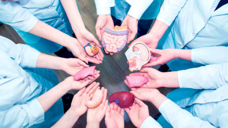 Hospital Escuela: Por el Día Nacional de la Donación de Órganos y Tejidos destacan el rol del Nosocomio en esta práctica imagen-42